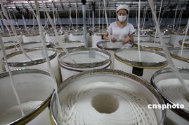 中國(guó)紡織業(yè)供應(yīng)鏈將由低端向高端發(fā)展